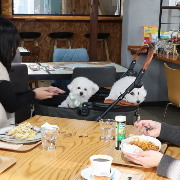 未来のヒーローにあえるかも　kawauchi cafe