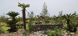 ARCHE! 愛犬撮影会 in Garden Kitchen 海と風