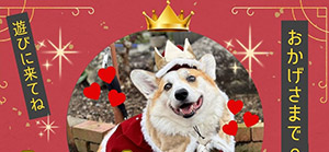 台ヶ森 ３周年 大感謝祭