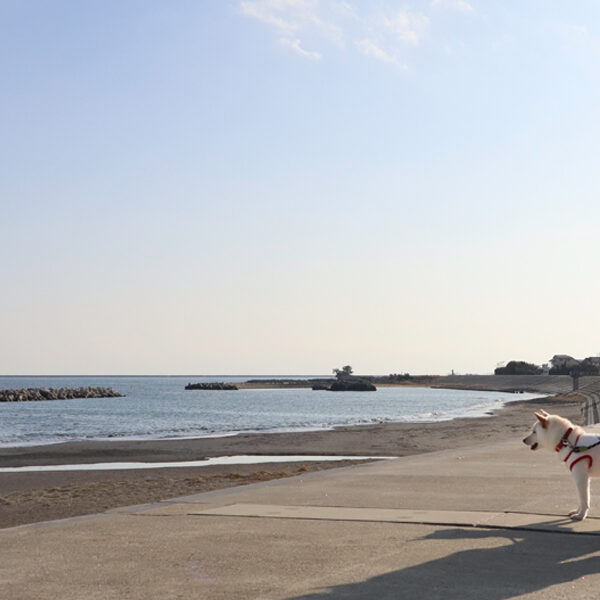 わんこも入れる新店舗　EAST COAST BURGER SHOP