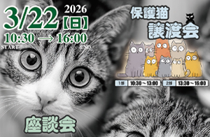保護猫譲渡会座談会
