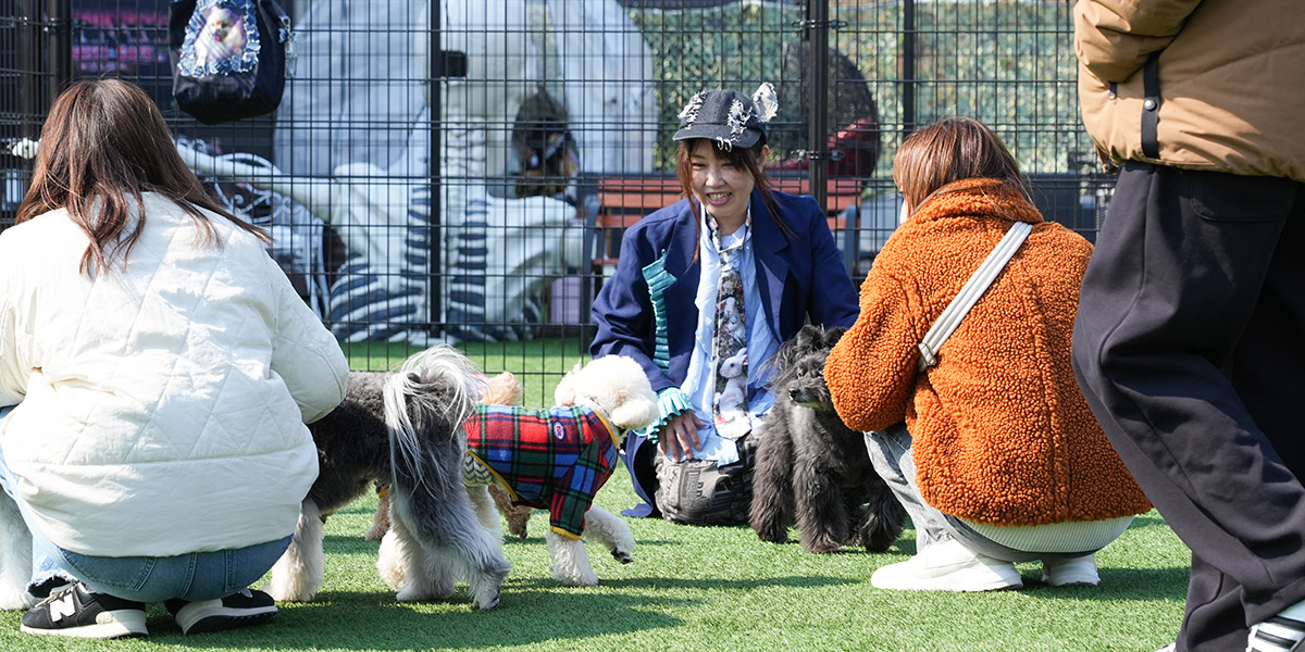 ARCHE!撮影会 in ドッグラン&カフェ さんぽ