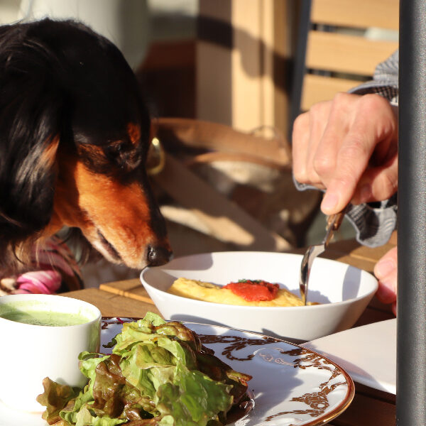 洋食カフェレストラン　plum