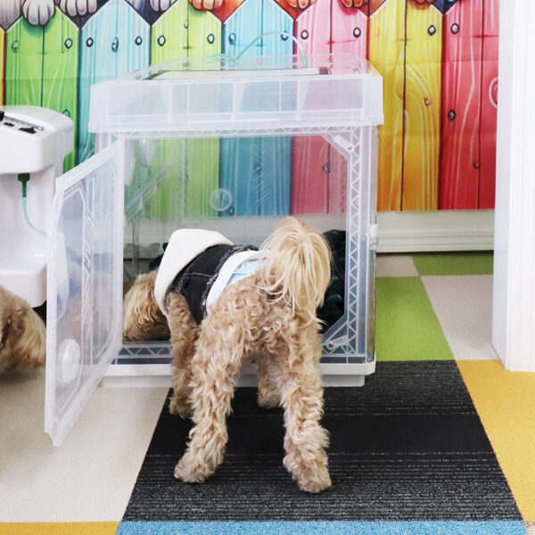 NEW OPEN 『Second house.felice 』