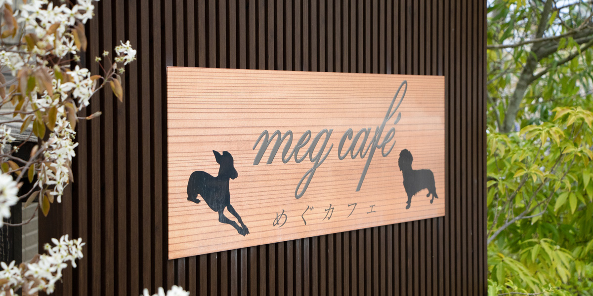 夢のスタート　ただいまwithめぐカフェ石巻