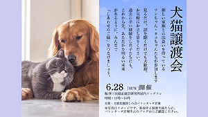犬猫譲渡会 in 庭正庭芸研究所