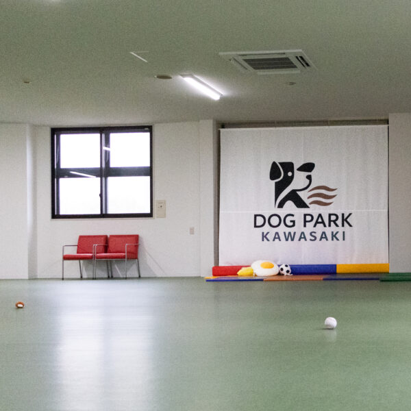 県内最大級の小型犬専用室内ドッグラン　ドッグパーク川崎