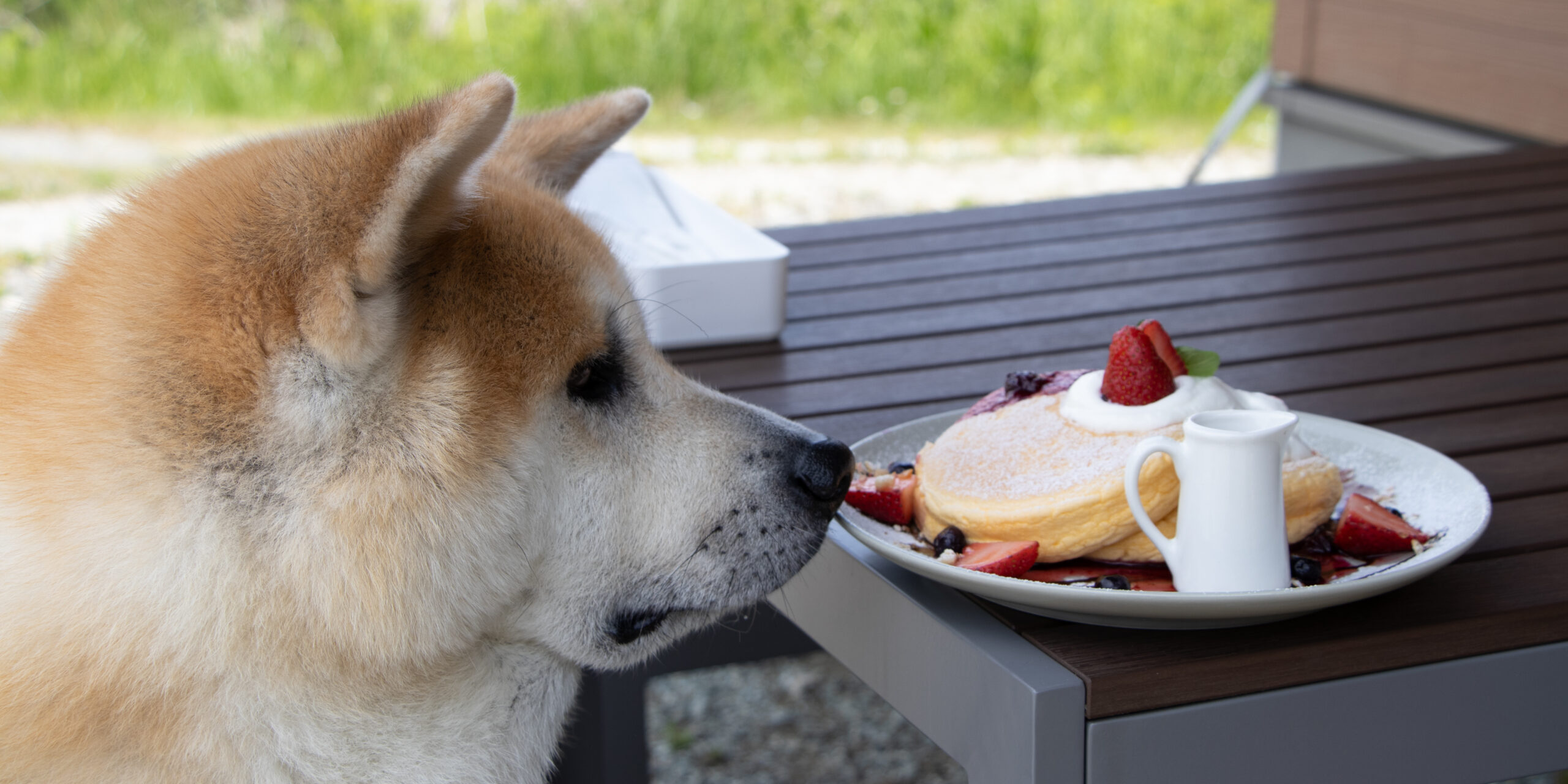 いつでも上質なパンケーキを Luna's Green Pancake | ARCHE! Web