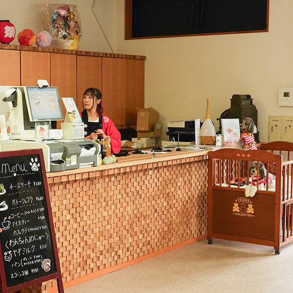 ARCHE!撮影会 in ドッグパーク川崎