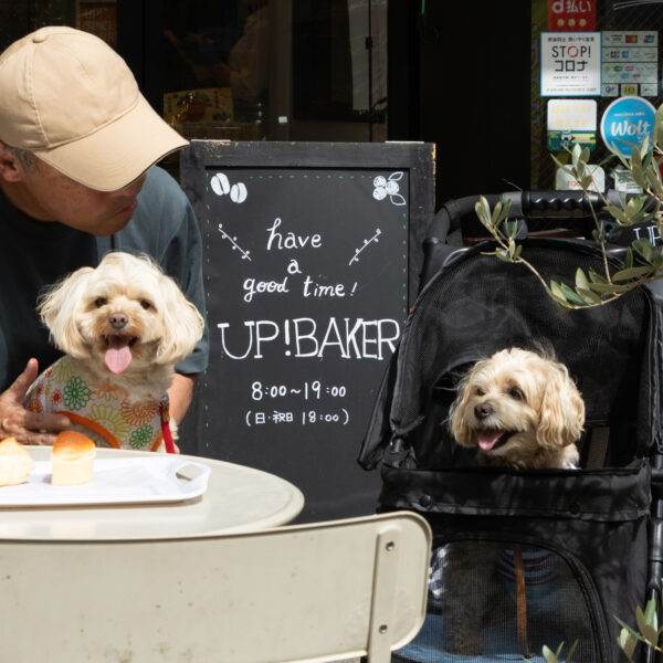 お散歩前にちょっと寄り道　UP! BAKER定禅寺本店